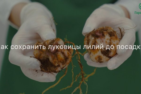 Onion ссылки даркнет