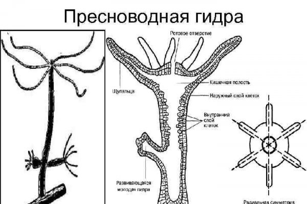 Кракен интернет площадка